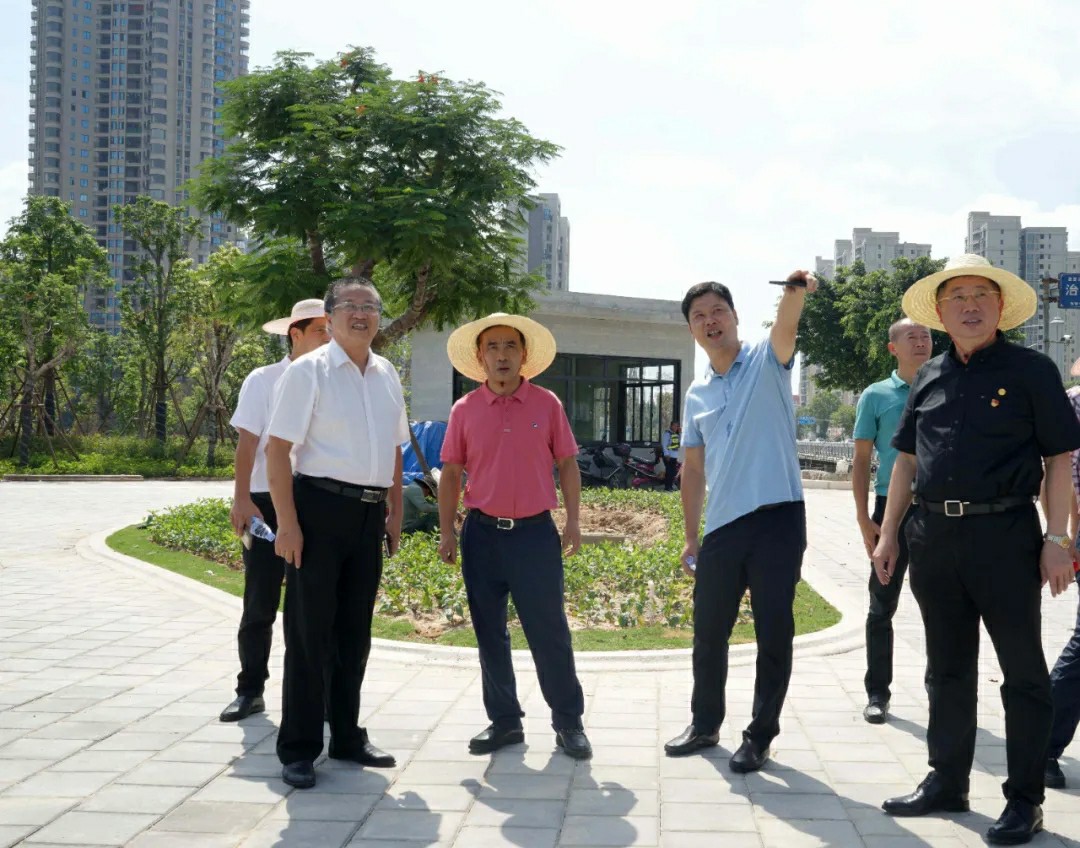 持续发力县长赖清正今天调研创城工作时强调